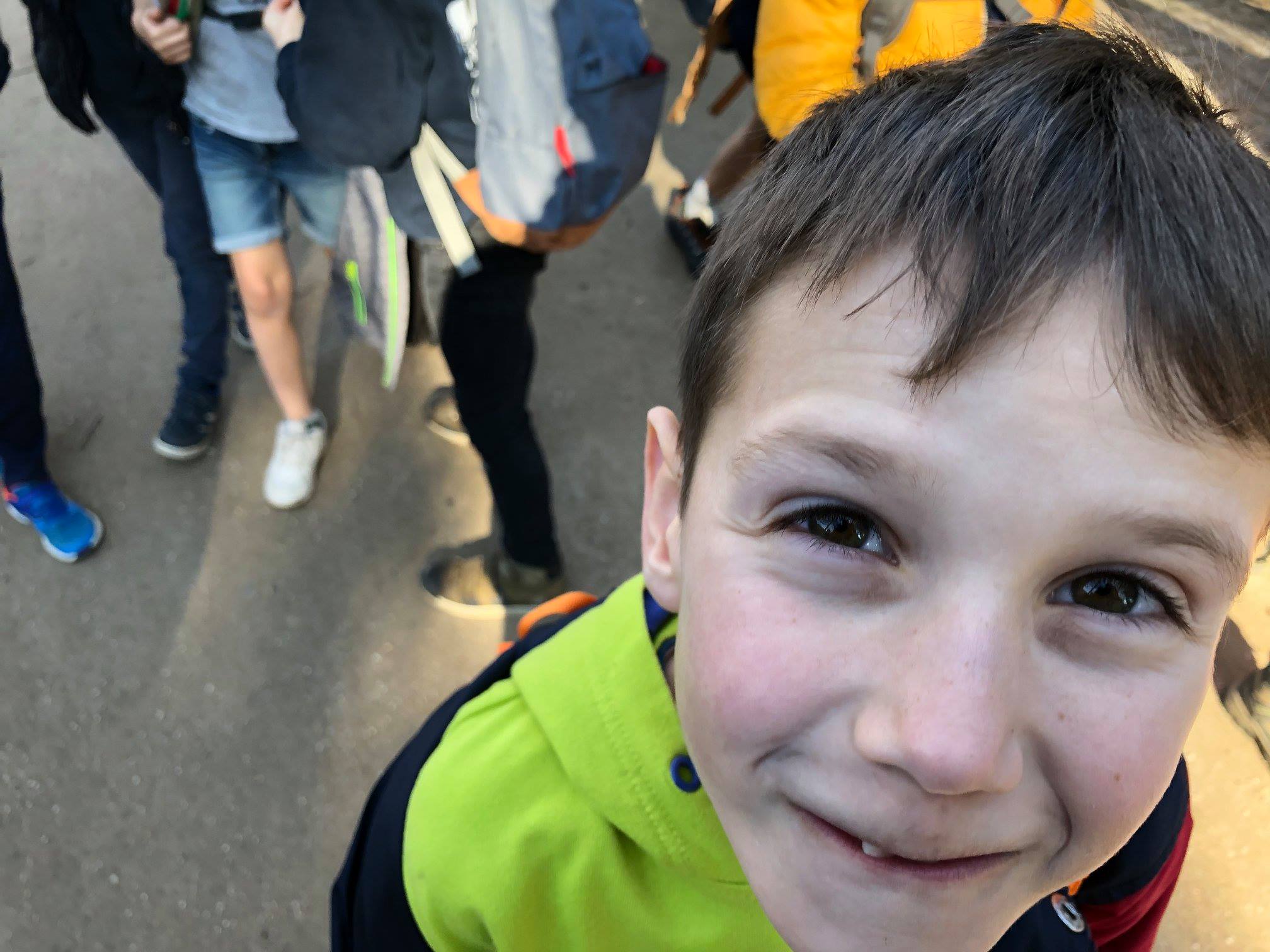 Sint-Martinus den XIIde - Zoo Antwerpen Kapoenen